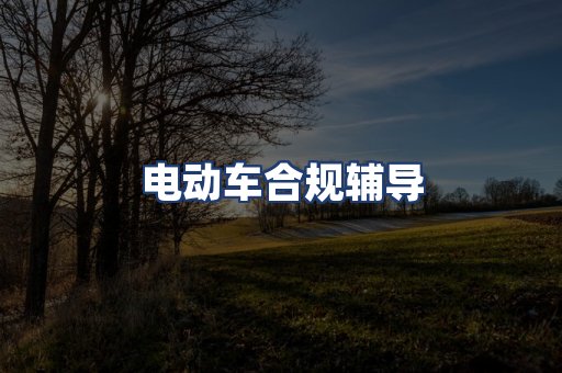 电动车合规辅导
