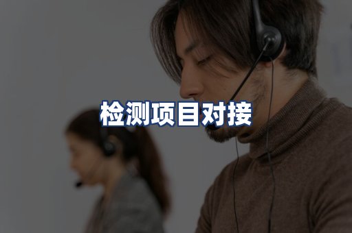 检测项目对接